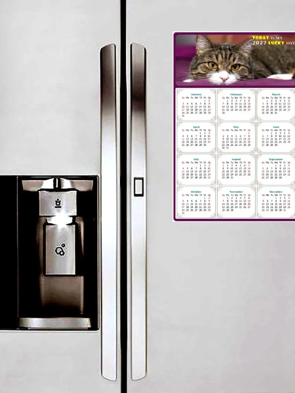 2027 Magnetic Calendar - Today is my Lucky Day - Cat Themed 022 (7 x 10.5)